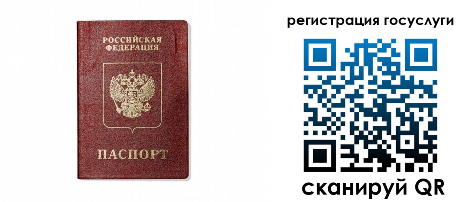 прописка паспорт в Звенигово