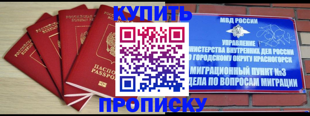 пропишу в квартире в Звенигово